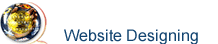 Professional web site design services